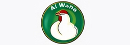الواحة للبيض